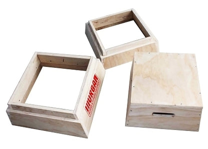 MORGAN 3 In 1 Trapezia Wooden Plyo Box